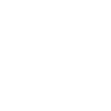 Ikon person